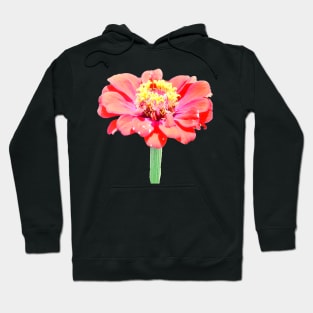 Zinnia Hoodie